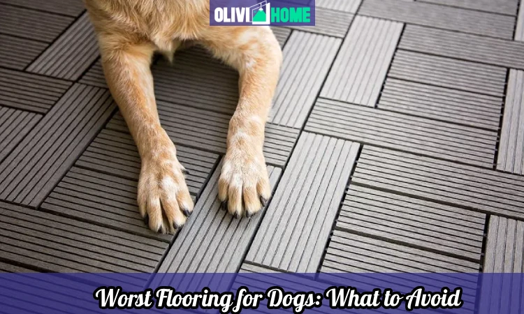 Worst Flooring for Dogs