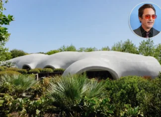 Robert Downey Jr House: Incredible $75M Homes Inside Robert Downey Jr House with a white dome-shaped exterior and lush greenery.