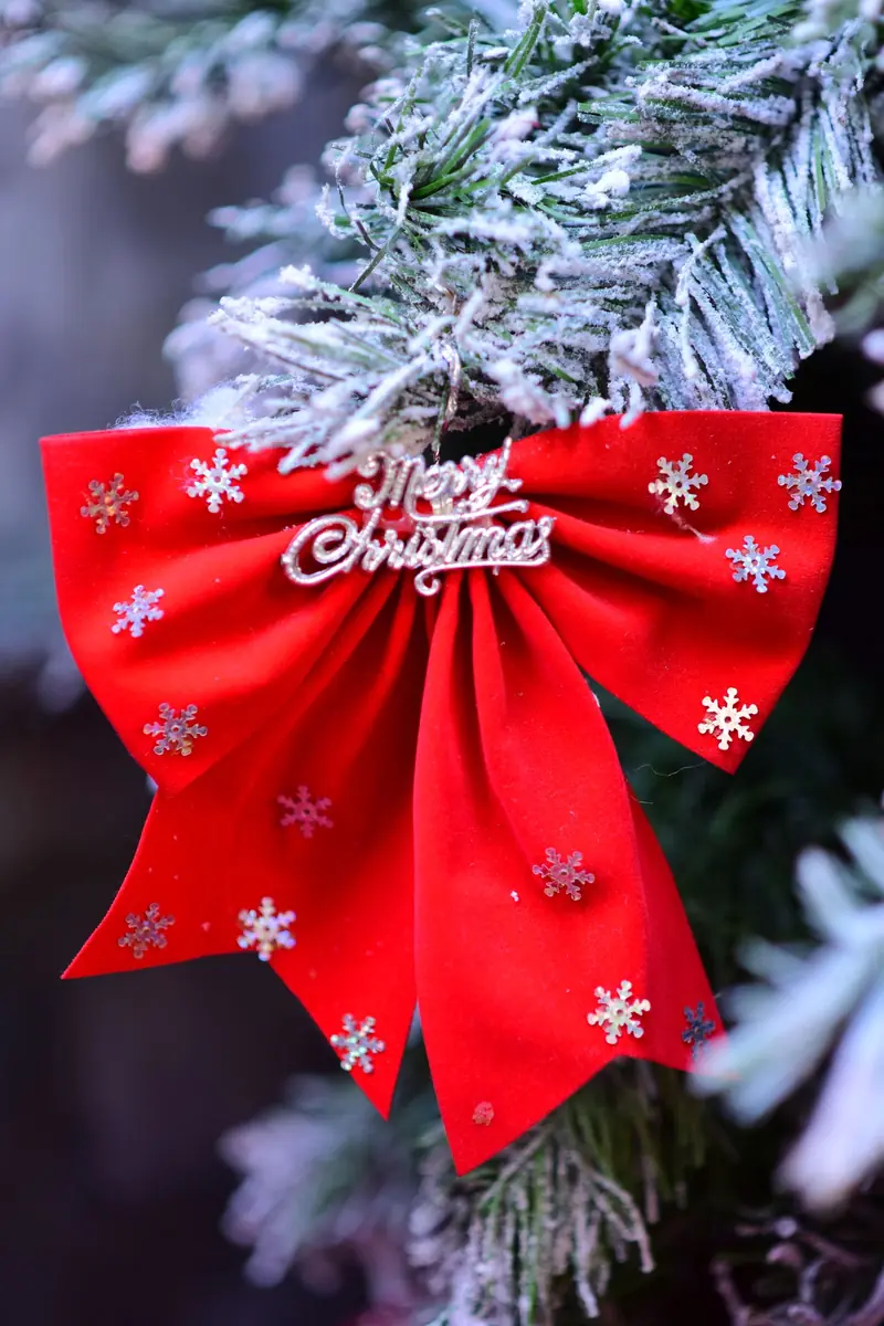 A red velvet Christmas bow with snowflakes on frosted evergreen branches