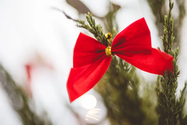 A red ribbon bow tied on an evergreen branch