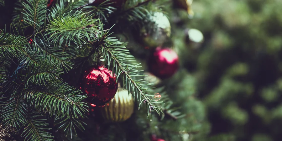A Warm, Lived In Holiday Room You Can Finish This Weekend 4 Red and gold Christmas ornaments on evergreen branches, showing warm metallic accents for a festive tree.