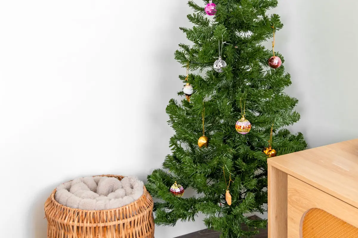 A Festive Small Room That Still Works for Sitting, Walking and Gathering 1 Pencil Christmas tree in a small living room corner with small ornaments